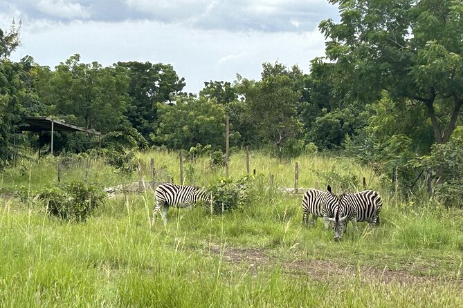 Shai Hills Safari - Hike & See Animals - Bird watching adds a quieter side