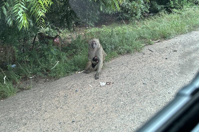 Shai Hills Safari - Hike & See Animals - What the guide adds to the experience