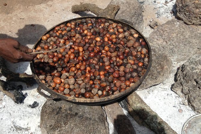 Tamale Cultural Experience - Half Day - Who gets the best value from this Tamale tour?