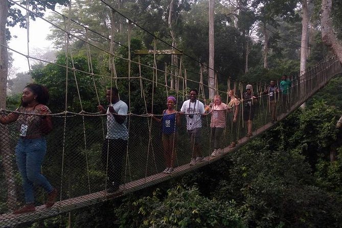 The Best Of Cape Coast Tour - Kakum National Park and seven hanging bridges