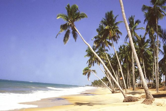 The Best Of Cape Coast Tour - Who should book this experience?