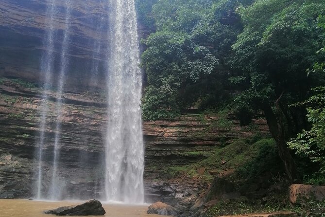 The Botanical Gardens and Water Falls Experience - Private Tour - Lunch, drinks, and the value of private transport
