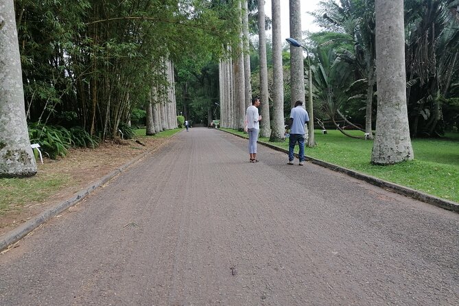 The Botanical Gardens and Water Falls Experience - Private Tour - What the five to seven hours really means