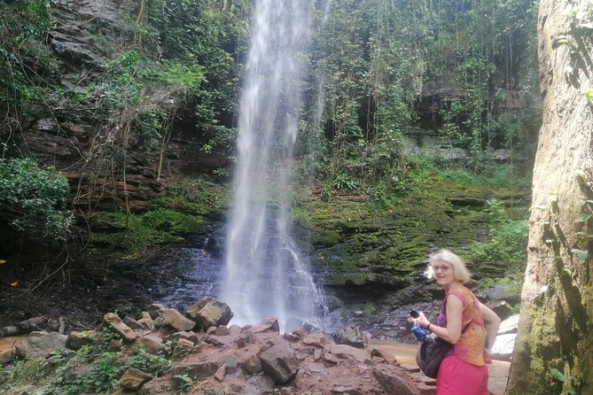 The Botanical Gardens and Water Falls Experience - Private Tour - Who will enjoy this private outing