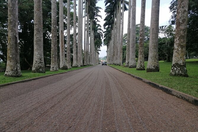 The Botanical Gardens and Water Falls Experience - Private Tour - Boti Falls and the Twin Falls view
