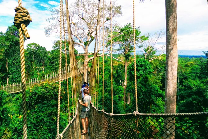 The Cape Coast Tour - Kakum National Park and the high canopy walk