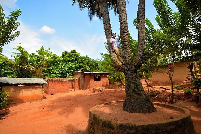 Time with Nature - The three-head palm tree and the route toward Boti Falls
