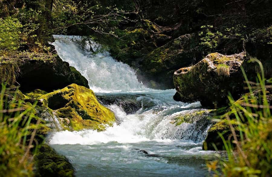 Visit Aburi Garden, Tetteh Quarshie Cocoa Farm & Waterfall - Shopping at the Aburi craft village