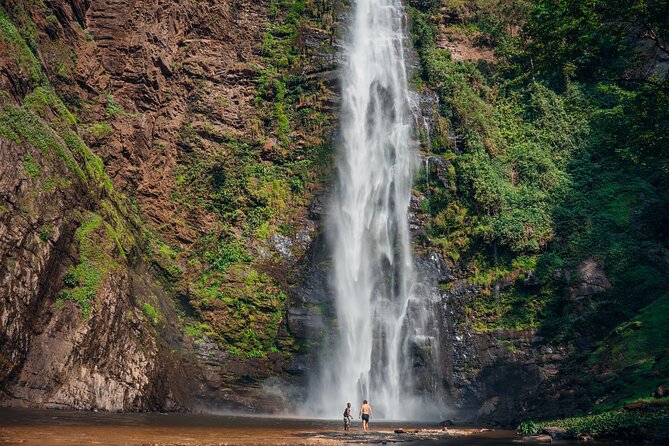 Wli Waterfall and Tafi Atome Monkey Sanctuary (Day Visit) - Key Points Before You Book