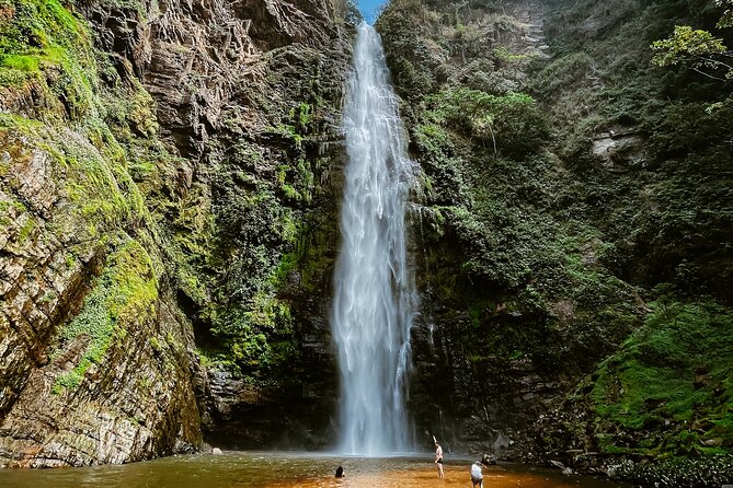 Wli Waterfall and Tafi Atome Monkey Sanctuary (Day Visit) - What the Two-Hour Waterfall Stop Means for You