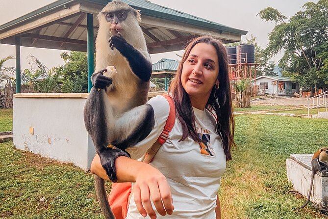 Wli Waterfall and Tafi Atome Monkey Sanctuary (Day Visit) - Lunch, Snacks, and What the $190 Price Covers