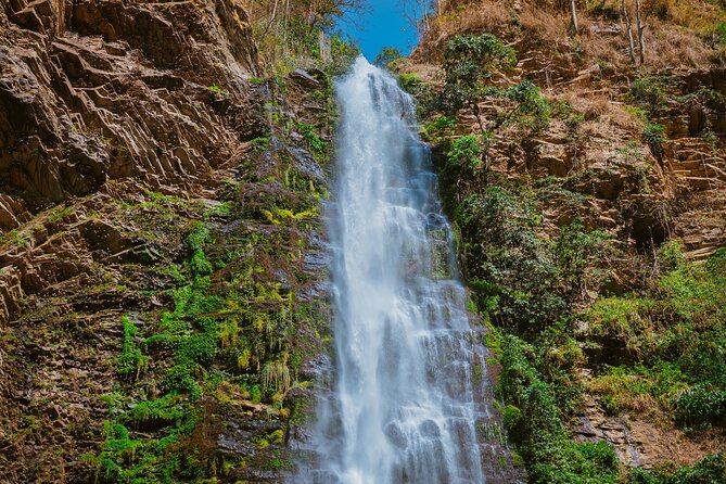 Wli Waterfall and Tafi Atome Monkey Sanctuary (Day Visit) - Reaching Wli Waterfalls Through Agumatsa Forest