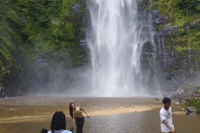 Wli Waterfall and Tafi Atome Monkey Sanctuary Tour - The 5:30 am start and private ride