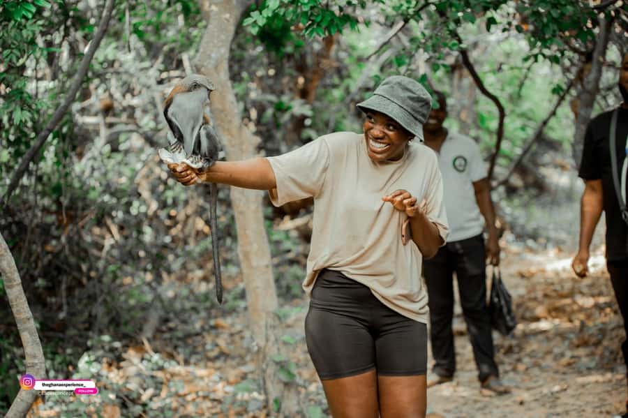 Wli Waterfall And Tafi Monkey Sanctuary ( Volta Region) - Key points before you book