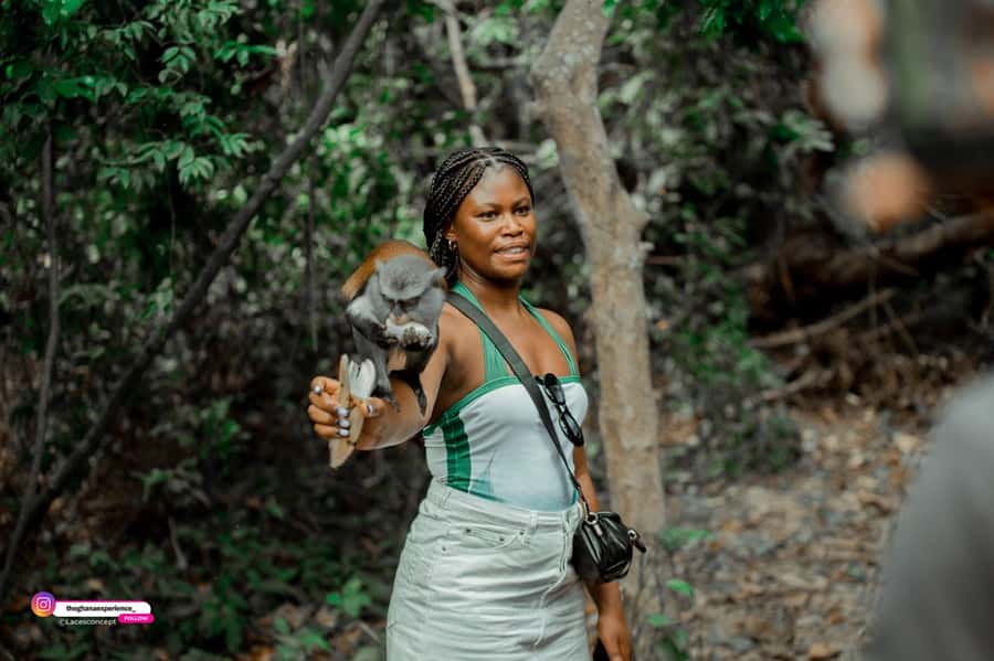 Wli Waterfall And Tafi Monkey Sanctuary ( Volta Region) - Practical tips for a smoother visit