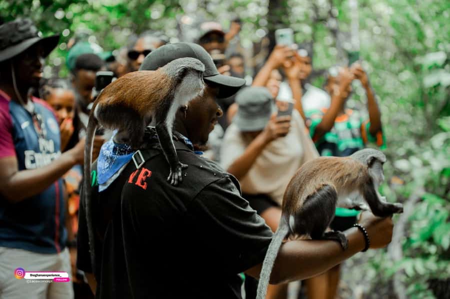 Wli Waterfall And Tafi Monkey Sanctuary ( Volta Region) - Why combine Wli Waterfalls with Tafi Atome?