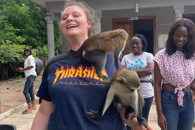 Wli Waterfalls, Mount Afadjato & Tafi Atome Monkey Sanctuary - Mount Afadjato: Ghana’s highest peak