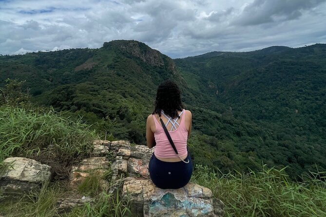 Wli Waterfalls, Mount Afadjato & Tafi Atome Monkey Sanctuary - Tafi Atome and the Mona monkeys