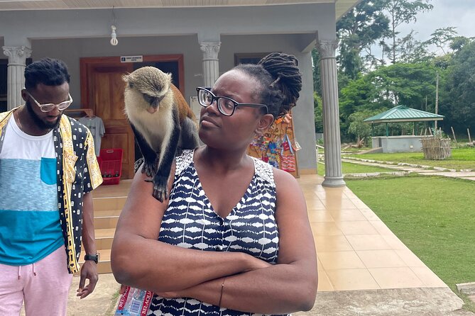 Wli Waterfalls, Mount Afadjato & Tafi Atome Monkey Sanctuary - A full day from Accra, with little spare time